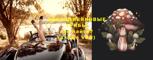 а пвп мука Алагир